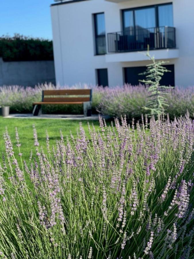 Paskom Apartmanhaz Nyergesujfalu 外观 照片